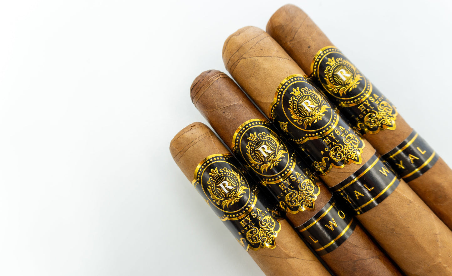 HYSA SUMMER SAMPLER
